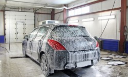 Sed blandit massa vel